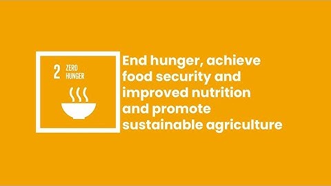 BSG for SDG – SDG#2 – Zero Hunger