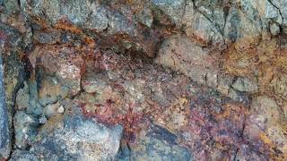 Mineralization