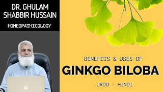 Benefits Of Ginkgo Biloba Homeopathic Medicine In Hindi & Urdu