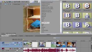 Getting Spicemaster to work in Sony Vegas