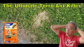 The Ultimate Terro Ant Killer - Tried And Tested!