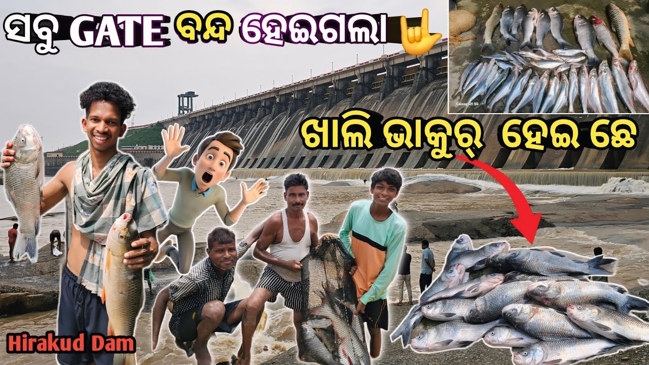 ସବୁ  GATE ବନ୍ଦ ହେଇଗଲା ଖାଲି ଭାକୁର୍ ମାଛ 😯 // Deepak p informative