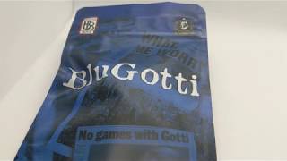 First Impressions: Blu Gotti - The Backpack Boyz