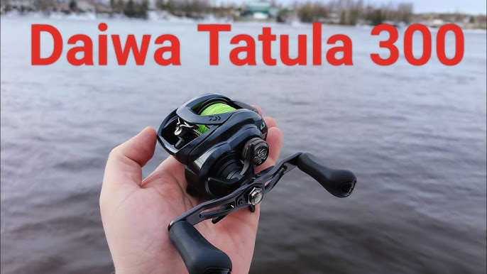 Daiwa LX-TW300-P Lexa TW Baitcasting Reel Review