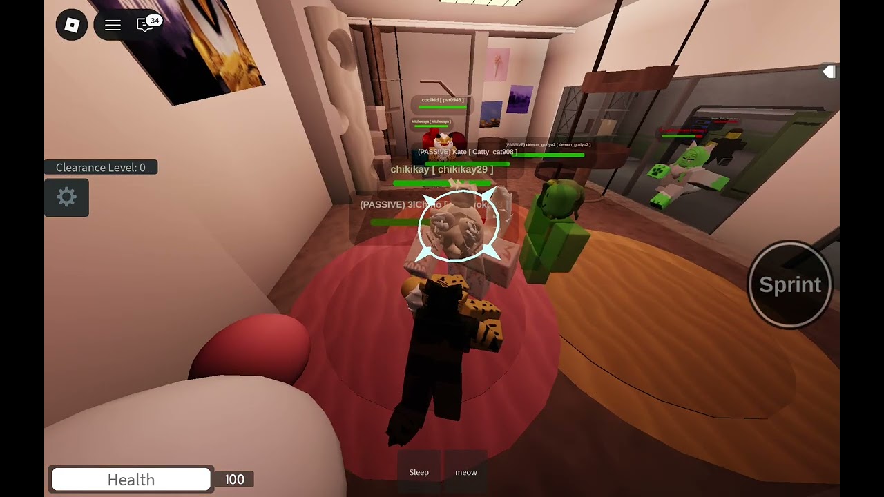 I help a girl to get her cat back but something bad