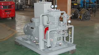 Reciprocating analytical gas compressor