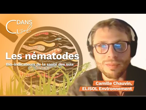 Vidéo: Les nématodes peuvent-ils nuire aux humains ?