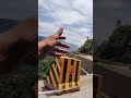 Travel Vlog || @KhatkarBrothers || #vlog #shortvideo #shorts #nature