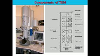 Introduction to Transmission Electron Microscopy (TEM)