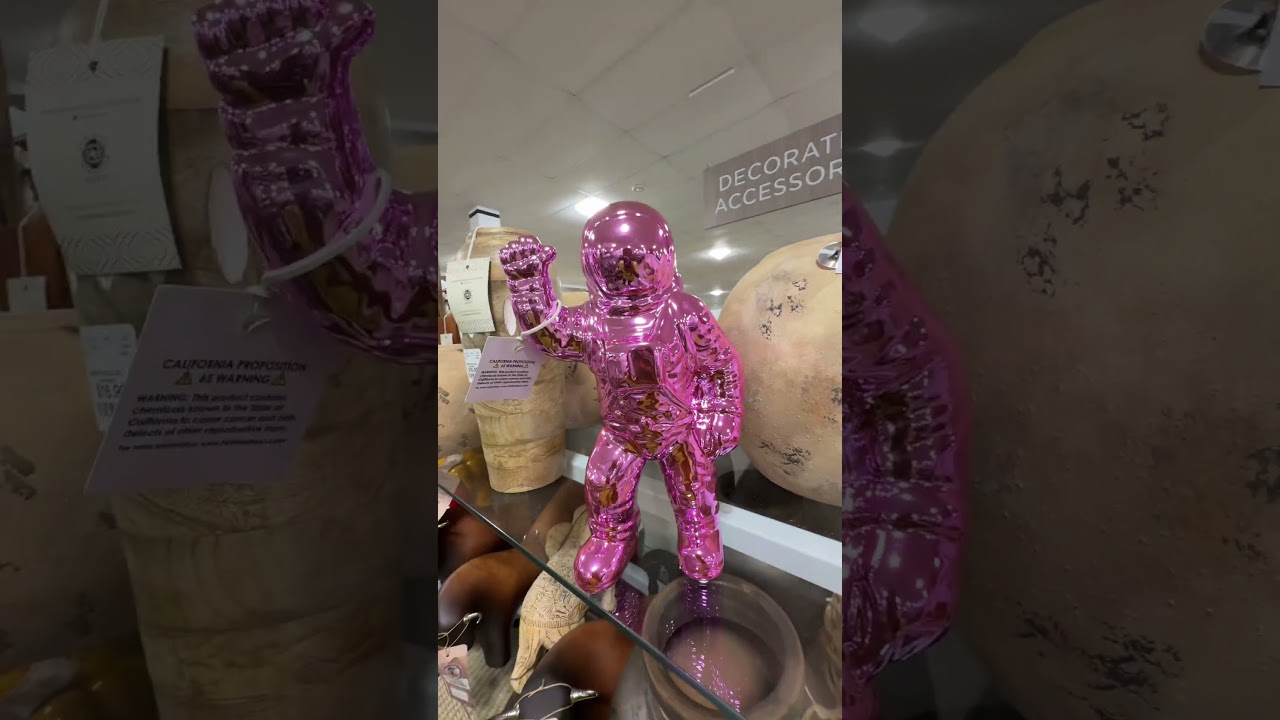 Best store ever #contentcreator #groupcontent #creativecontentcreator #youtubeshorts #digitalcreator