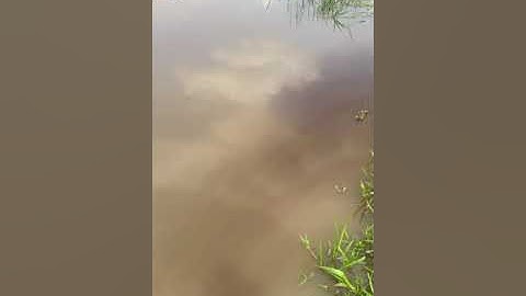 Flood Mitigation 2024 Clearing (or Dredging) of Opa Aro river ways - V0086 #FloodMitigation