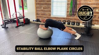 Stability Ball Elbow Plank Circles - Fitness Exercise Library