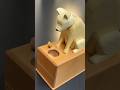 How to Open This Dog Karakuri Box. #puzzlebox #Puzzle #Shorts