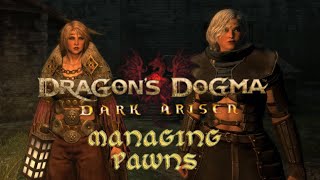 Dragon's Dogma Dark Arisen Managing Pawns