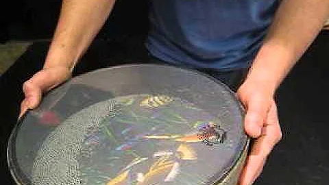 Chenot Demonstrates the Wave Drum