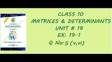 Matrices And Determinants Chap # 19 Ex 19.1 Q No.5(v,vi) Class 10 Sindh Board