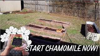 JANUARY Empty Garden Tour | Planting Chamomile by Don't Kale My Vibe 454 views 1 year ago 8 minutes, 42 seconds