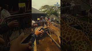 Tourist Testimony