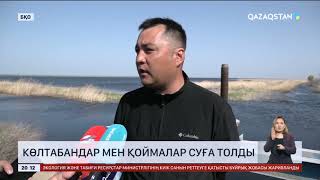 Батыс Қазақстанда көлтабандар мен қоймалар суға толды