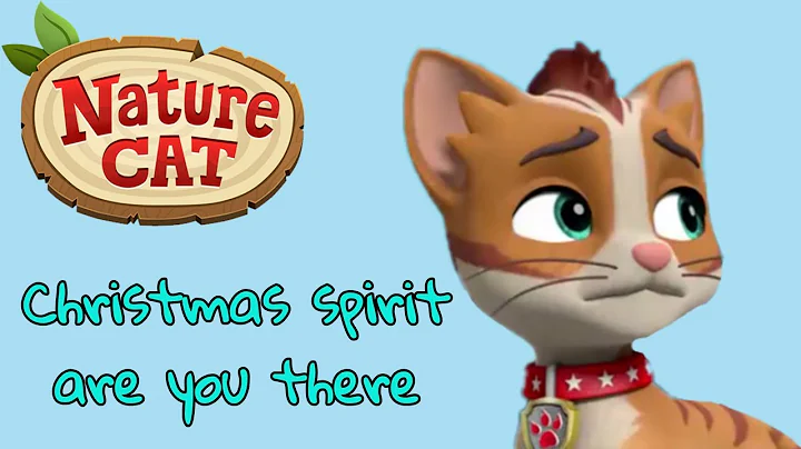 Paw Patrol - Christmas spirit are you there - Nature cat