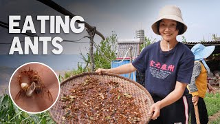 EATING ANTS and other delicacies on a Chinese street market - my weirdest food experience | EP30, S2