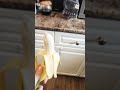 banana#nomnom#yummy