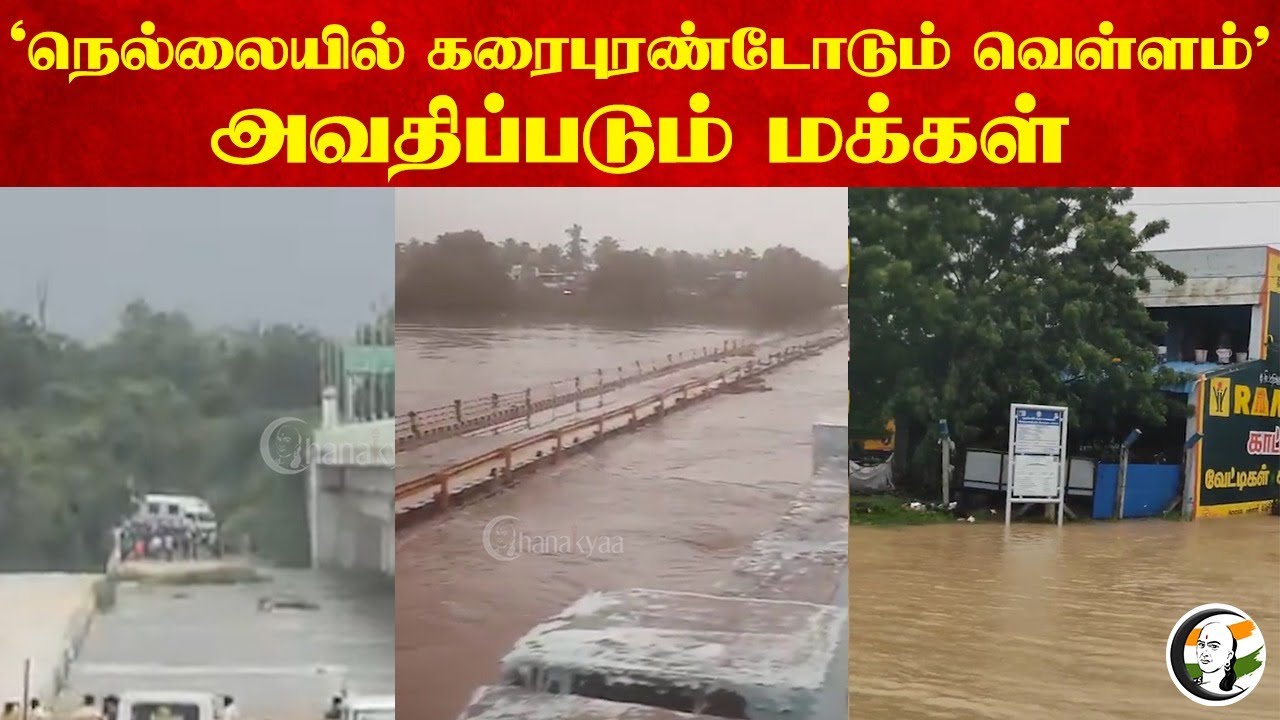 "Tirunelveliயில் கரைபுரண்டோடும் வெள்ளம்" அவதிப்படும் மக்கள்.. | Heavy Rain | TN Rains