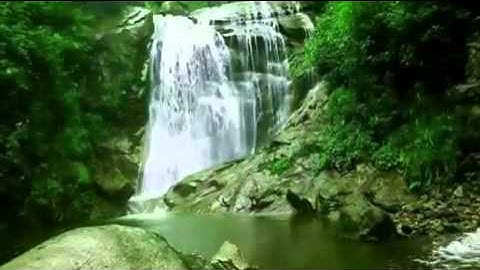 اخر سورة الحشر بصوت ابراهيم بن عبد الرحمن العتيق