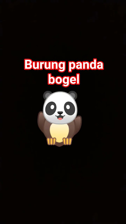 burung panda bogel 🗿🗿
