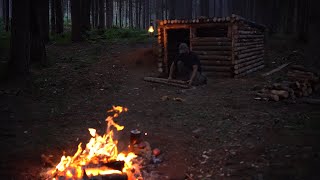 Hunters cabin building from start to finish. 3 Days solo in the woods. Excavation. Part-2