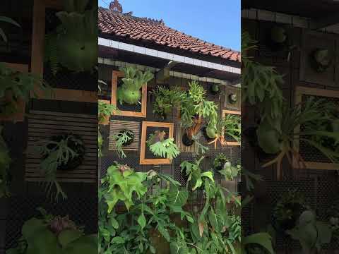 Video: Berkebun Tahan Rusa: Pelajari Cara Membuat Taman Tahan Rusa