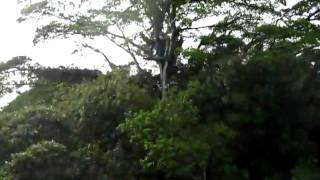 225.AVI