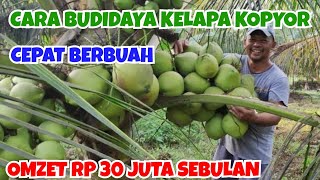 KELAPA KOPYOR, OMZET PRIA INI MENCAPAI 30 JUTA SEBULAN || CARA MENANAM/BUDIDAYA KELAPA KOPYOR