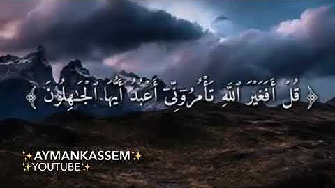 قرآن كريم بصوت القارئ: عمر الدرويز || أجمل حالات واتس اب دينيه || تلاوة خاشعة 🌿
