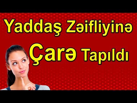 Yaddas Zeifliyi - Yaddaşı Zəiflədən Qidalar - Yaddasi Guclendiren Qidalar