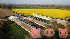 VISITE DE L'ELEVAGE DE PORC DE DEMAIN !