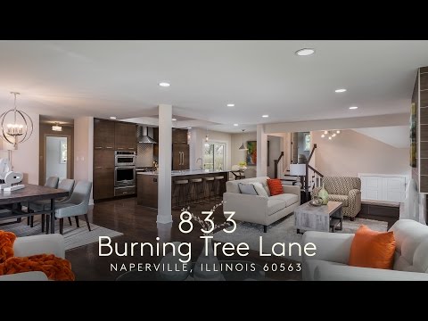 833 Burning Tree Lane, Naperville, IL home video tour
