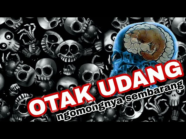 (OTAK UDANG) TONG KOSONG SLANK Cover By Kyo_noisE class=