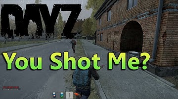 Trust Issues - DayZ
