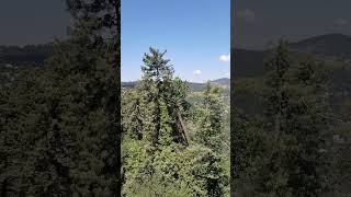 kia khubsurti h #travel #abbottabad to murry #shortvideo