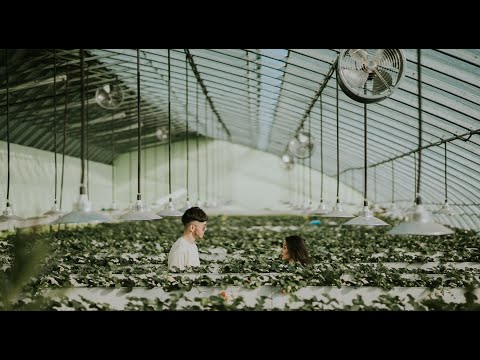 ThunderZ Bad Days Official Music Video