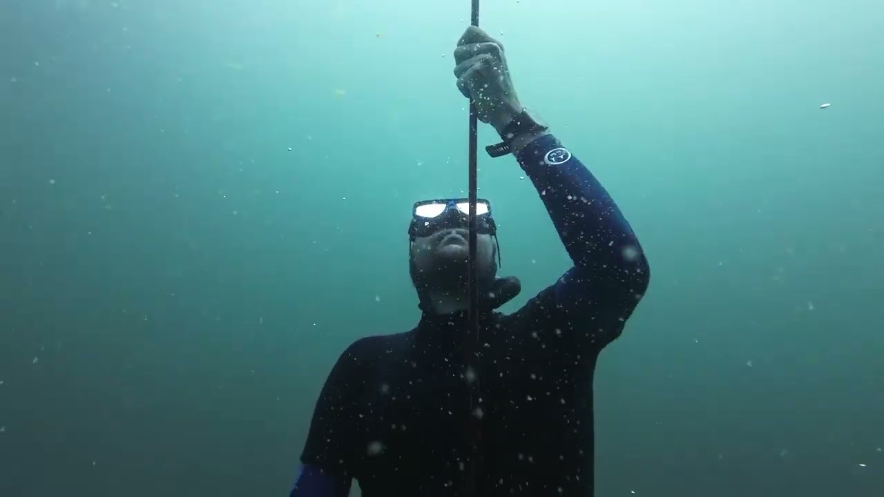 #freediving
