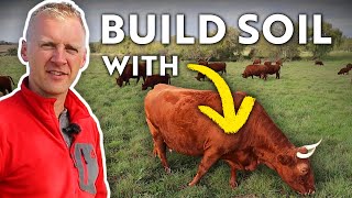 REGENERATIVE GRAZING: Using Cows to Rebuild Soil After a Century of Tillage.