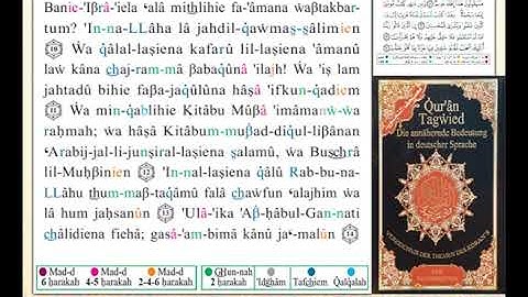 ختمة من مصحف التجويد باللغة الألمانية الصفحة رقم 503