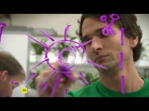 Redesign My Brain — trailer