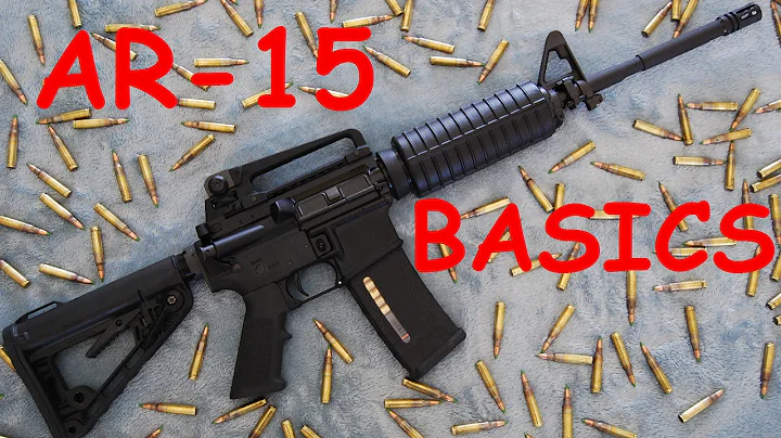 AR-15 Basics: Controls, Function, Disassembly, & Reassembly.