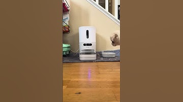 How To Record A Voice Message On The Smart Pet Feeder
