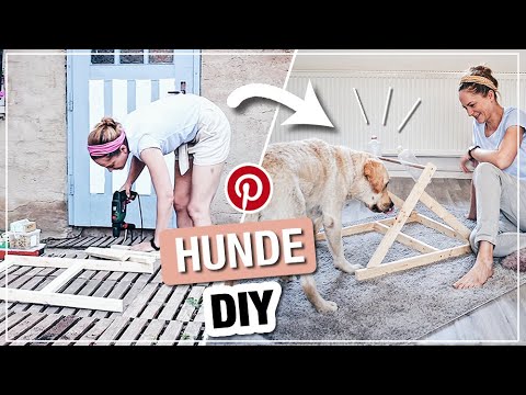 Hundespielzeug / Intelligenzspielzeug fr Hunde selber machen | PINTEREST  DIY | ikarusdoodle