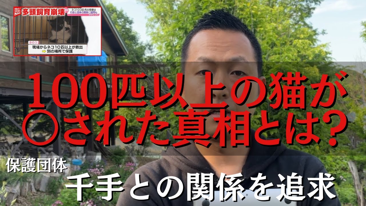 【熊本県保護団体千手】100匹以上の猫が○された真相とは？【多頭飼育崩壊】