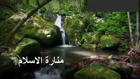 الله نور السماوات والارض " من تلاوات الشيخ عبد الله الموسى